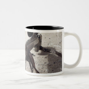 Caneca De Café Em Dois Tons Schmidt & Bender M- 854155 DS