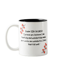 Scripting Mug
