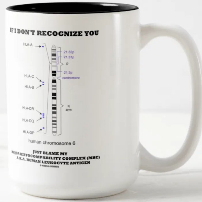 Caneca De Café Em Dois Tons Se eu não o reconhecer, culpem a minha biologia MH (Immunologists will enjoy this MHC humor mug featuring human chromosome 6)