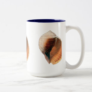 Caneca De Café Em Dois Tons Sea Shell Vintage