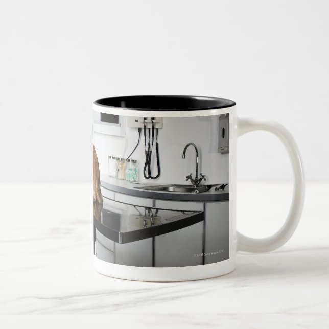 Caneca De Café Em Dois Tons Seattle, Washington, EUA 2 (Direita)