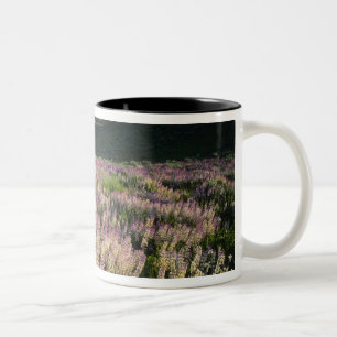 Caneca De Café Em Dois Tons Serra e Jarbridge Wilderness, Nevada, Esporão