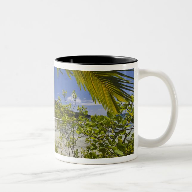 Caneca De Café Em Dois Tons Seychelles, Ilha Curieuse, Baía Laraie (Direita)