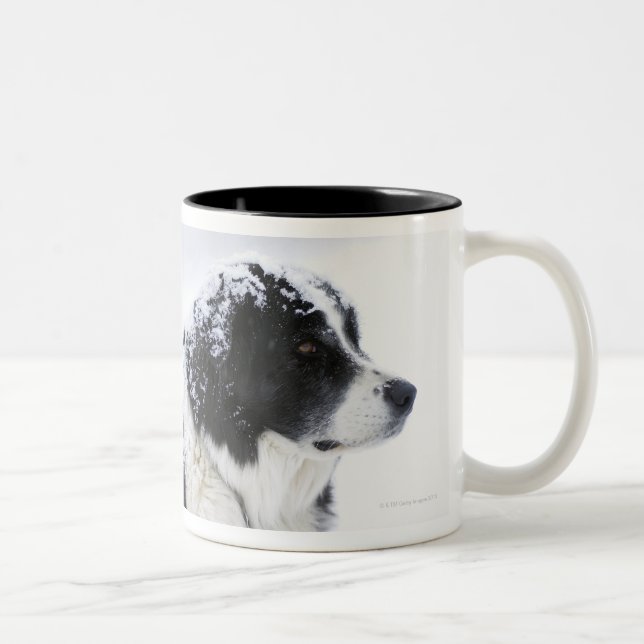 Caneca De Café Em Dois Tons Sheepdog (Akbash/mistura do collie) que (Direita)