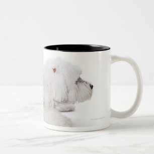 Caneca De Café Em Dois Tons Sheepdog inglês velho no fundo branco