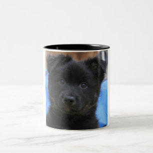 Caneca De Café Em Dois Tons Sheepdog Islandês 2014-0805