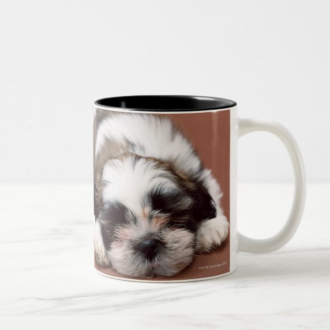 Caneca De Café Em Dois Tons Shih Tzu (Direita)