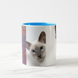 CANECA DE CAFÉ EM DOIS TONS SIAMESE