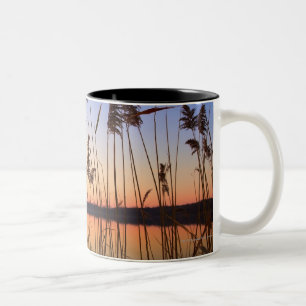 Caneca De Café Em Dois Tons Silhueta da planta pelo por do sol da beira do