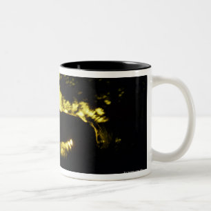 Caneca De Café Em Dois Tons Silhueta do lobo que urra