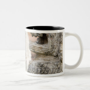 Caneca De Café Em Dois Tons Singhat Wat Thammikarat 2