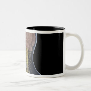 Caneca De Café Em Dois Tons Sistema nervoso humano
