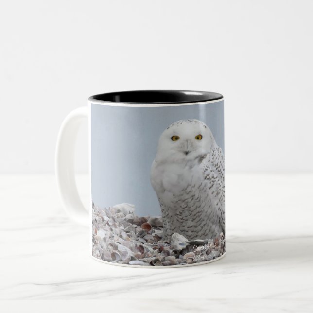 Caneca De Café Em Dois Tons Snowy Owl nas    conchas (Frente Esquerda)