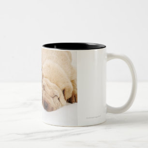 Caneca De Café Em Dois Tons Sono de dois filhotes de cachorro de Shar Pei