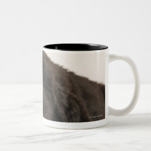 Caneca De Café Em Dois Tons Sono do filhote de cachorro de Terra Nova