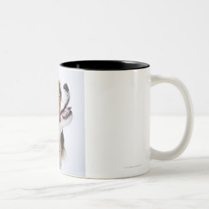 Caneca De Café Em Dois Tons Spaniel de rei Charles descuidado