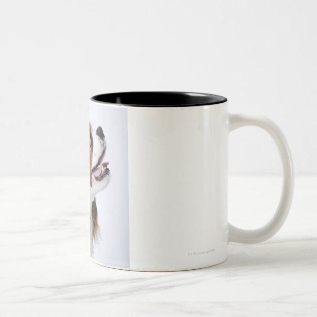 Caneca De Café Em Dois Tons Spaniel de rei Charles descuidado (Direita)