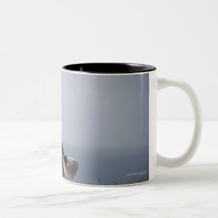 Caneca De Café Em Dois Tons Spaniel de Springer preto e branco que joga com