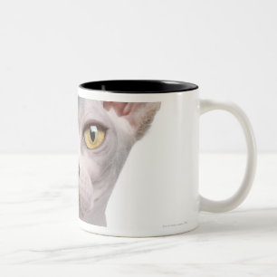 Caneca De Café Em Dois Tons Sphynx (7 meses velho)