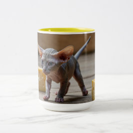 Caneca De Café Em Dois Tons Sphynx Kitten e Cheese Adoráveis