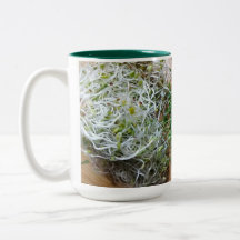 Sprouts Mug!