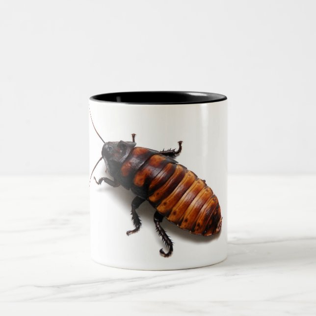 Caneca De Café Em Dois Tons Squish o Hisser (Centro)