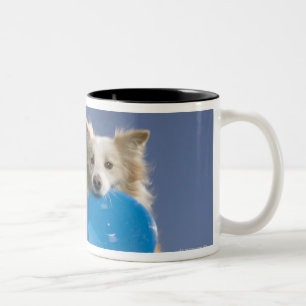 Caneca De Café Em Dois Tons Stockton, Califórnia, EUA