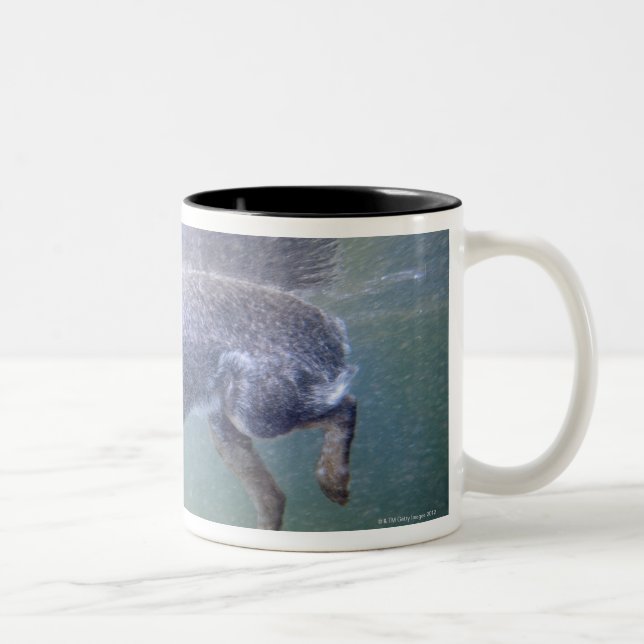 Caneca De Café Em Dois Tons Sun Valley, Idaho, EUA (Direita)