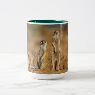 Caneca De Café Em Dois Tons Suricata Animal Safari África Fofa