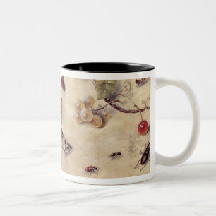 Caneca De Café Em Dois Tons T31566 um estudo de vários insetos, fruta e Anima