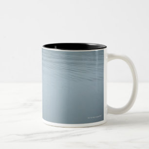 Caneca De Café Em Dois Tons Tanuki-ko, lago Tanuki