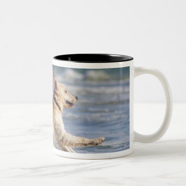 Caneca De Café Em Dois Tons tarifa, cadiz, a Andaluzia, espanha (Direita)