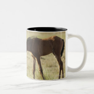 Caneca De Café Em Dois Tons Tarifa, Cadiz, a Andaluzia, espanha 2