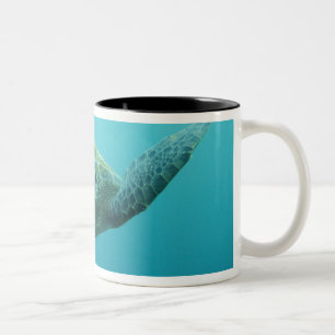 Caneca De Café Em Dois Tons Tartaruga Verde (Chelonia mydas agassisi), Central