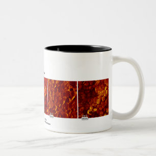 Caneca De Café Em Dois Tons Tecnologia de RHK - em outubro de 2007 imagem do