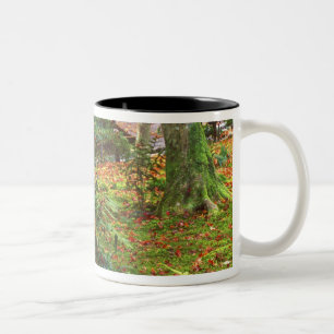 Caneca De Café Em Dois Tons Templo Giohji, Arashiyama, Kyoto, Japão