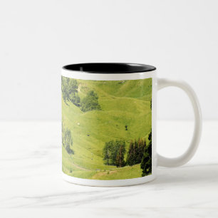 Caneca De Café Em Dois Tons Terra agrícola perto de Gisborne, Nova Zelândia