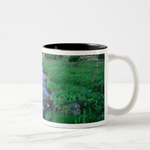 Caneca De Café Em Dois Tons TERRA ALTA DE UINTAS, UTAH. Stillwater Fork