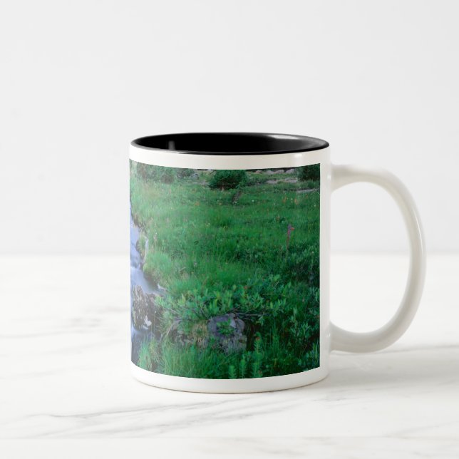 Caneca De Café Em Dois Tons TERRA ALTA DE UINTAS, UTAH. Stillwater Fork (Direita)