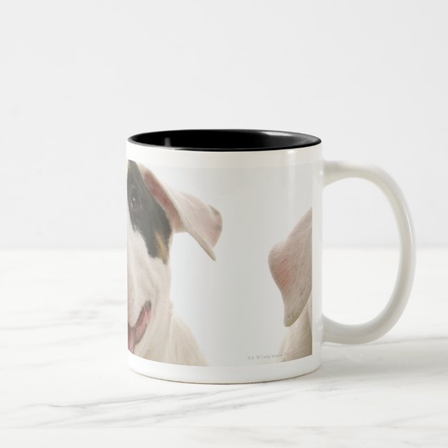 Caneca De Café Em Dois Tons Terrier de Bull (Direita)