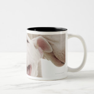 Caneca De Café Em Dois Tons Terrier de Bull alegres
