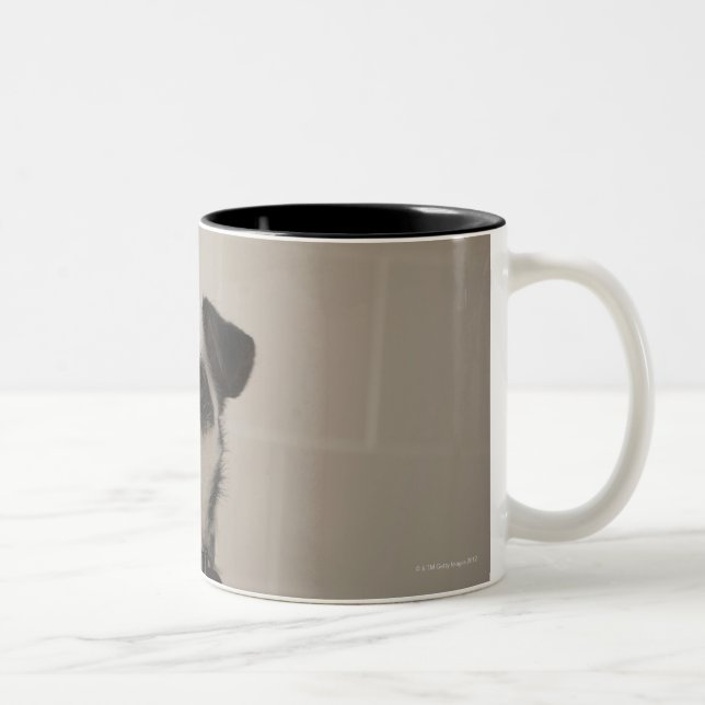 Caneca De Café Em Dois Tons Terrier de Jack russell (Direita)