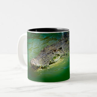Caneca De Café Em Dois Tons Território Norte Darwin - Mug Crocodilo