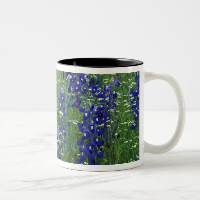 Caneca De Café Em Dois Tons Texas, Lago Buchanan. Texas Bluebonnet e Selvagem (Direita)