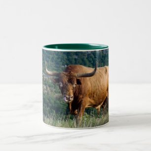 Caneca De Café Em Dois Tons Texas Longhorn
