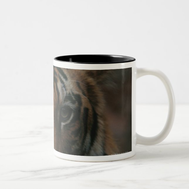 Caneca De Café Em Dois Tons Tigre Cub (Direita)