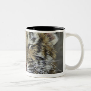 Caneca De Café Em Dois Tons Tigre de Bengal que boceja