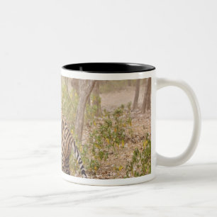 Caneca De Café Em Dois Tons Tigre-de-bengala-real subindo na árvore,