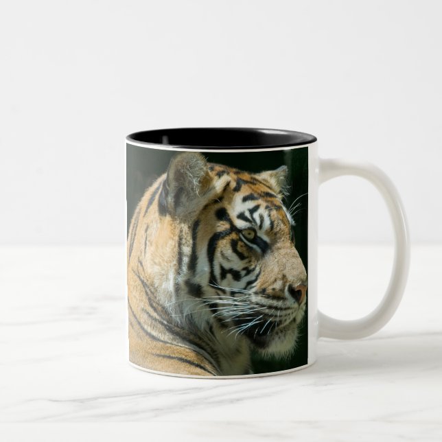 Caneca De Café Em Dois Tons Tigre de Sumatran (Direita)