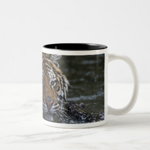 Caneca De Café Em Dois Tons Tigre Siberian na água